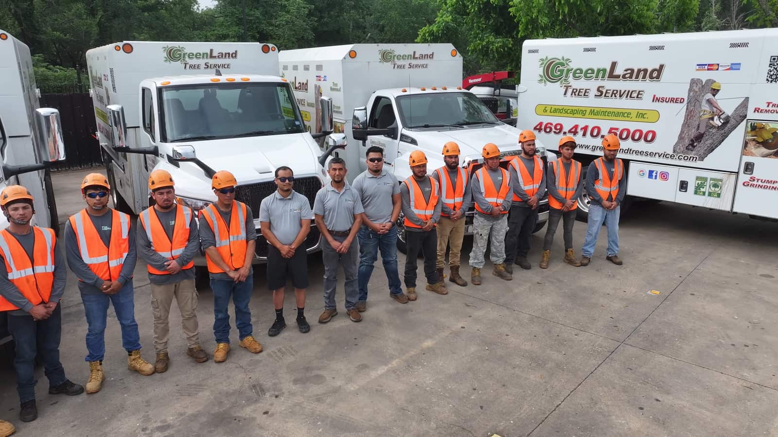 Tree removal project completed by Greenland Tree Services in Dallas